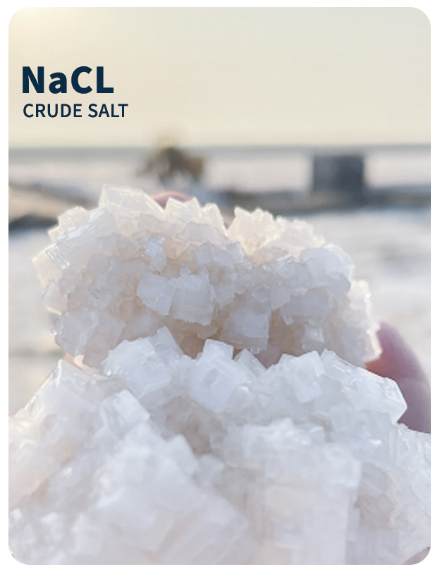 游艇会·yth206(中国)最新官网